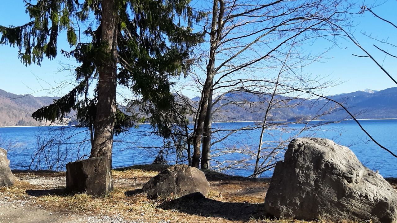 Photo of Others in Murnau am Staffelsee