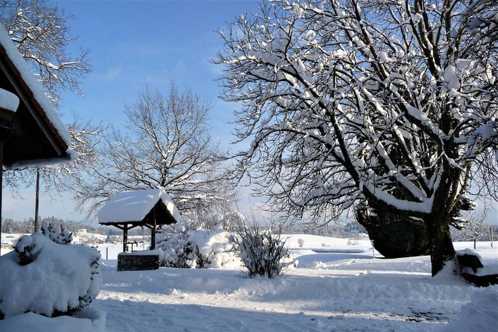 Photo of Outdoor in Lindau