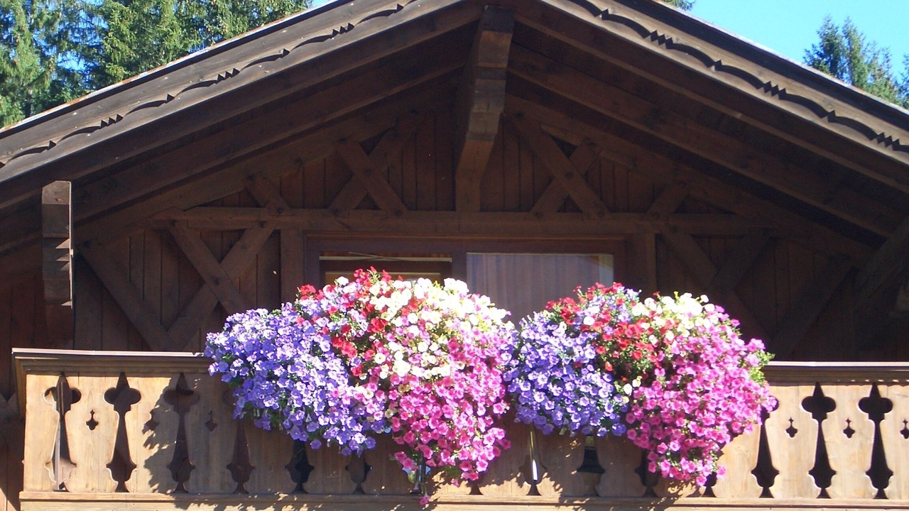 Photo of Outdoor in Untergrainau