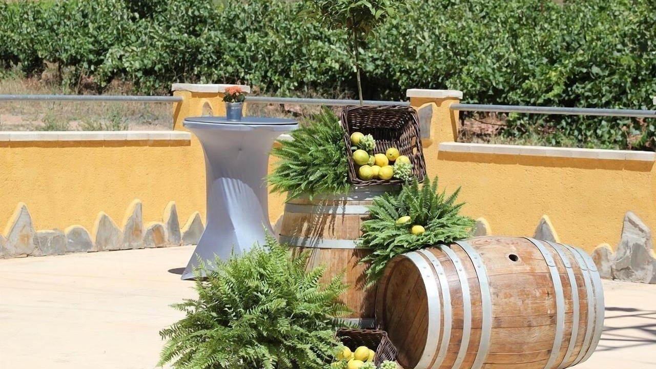 Photo of Patio Balcony in Bogarra