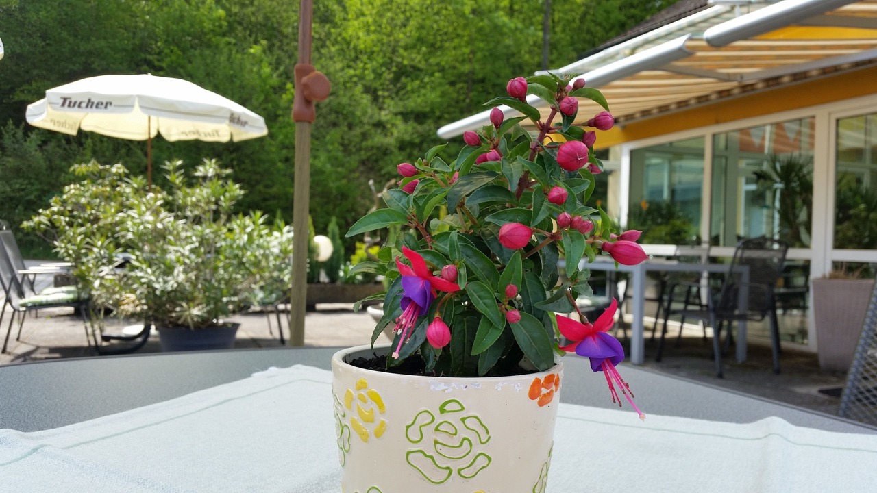 Photo of Outdoor in Weigendorf
