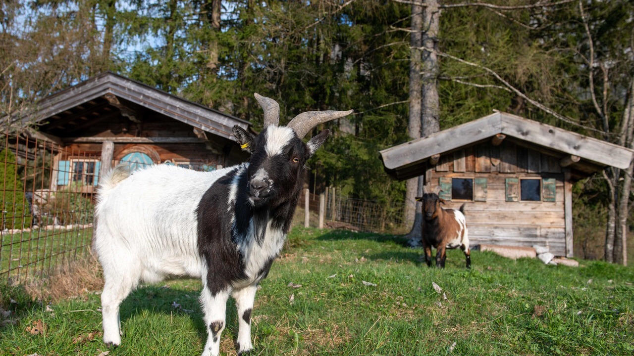 Photo of Outdoor in Ruhpolding