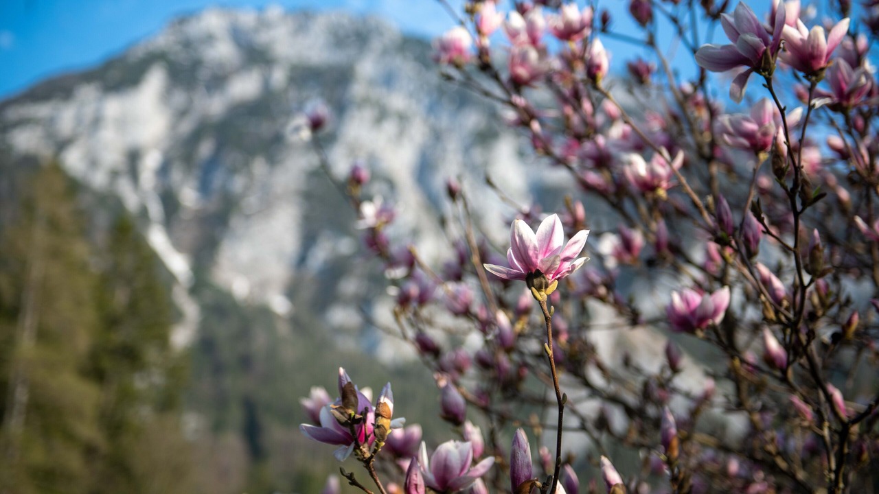 Photo of Others in Ruhpolding
