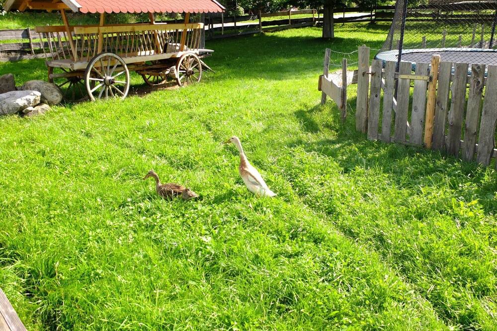 Photo of Outdoor in Burggen