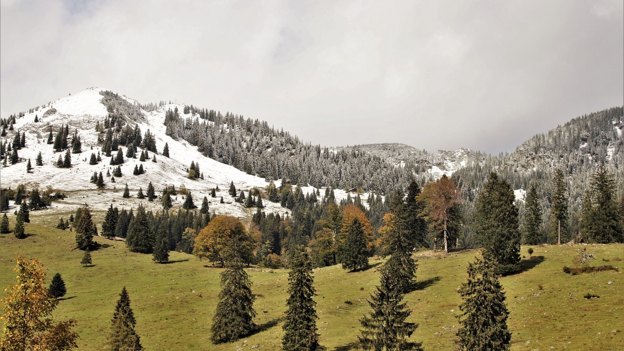 Photo of Outdoor in Josefsthal