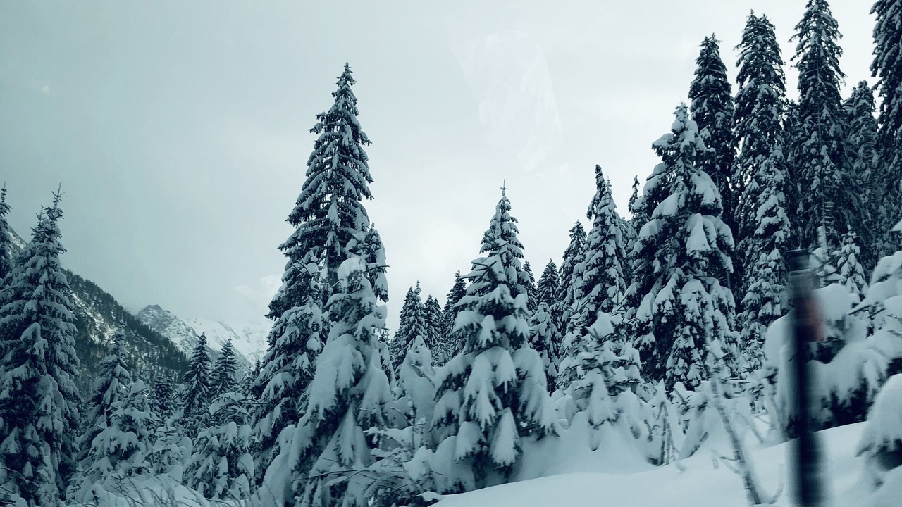 Photo of Others in Reutte