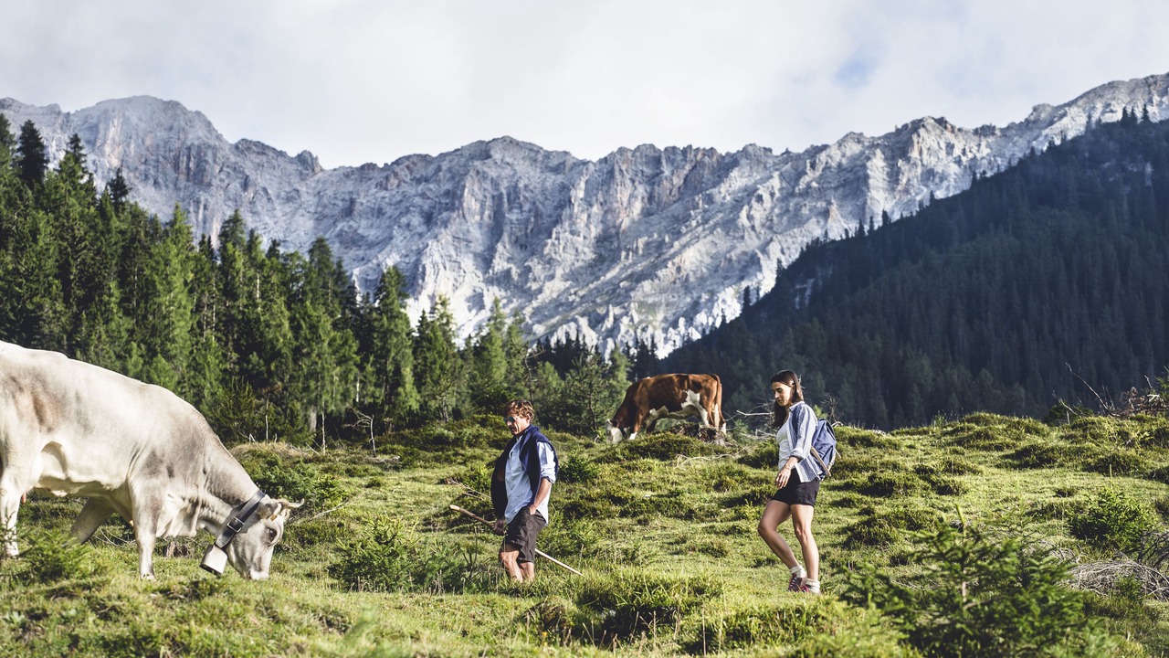 Photo of Outdoor in Scharnitz