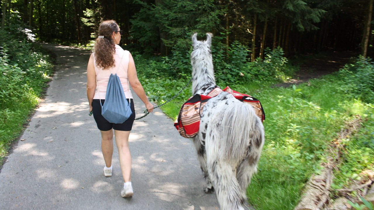 Photo of Others in Bad Aibling