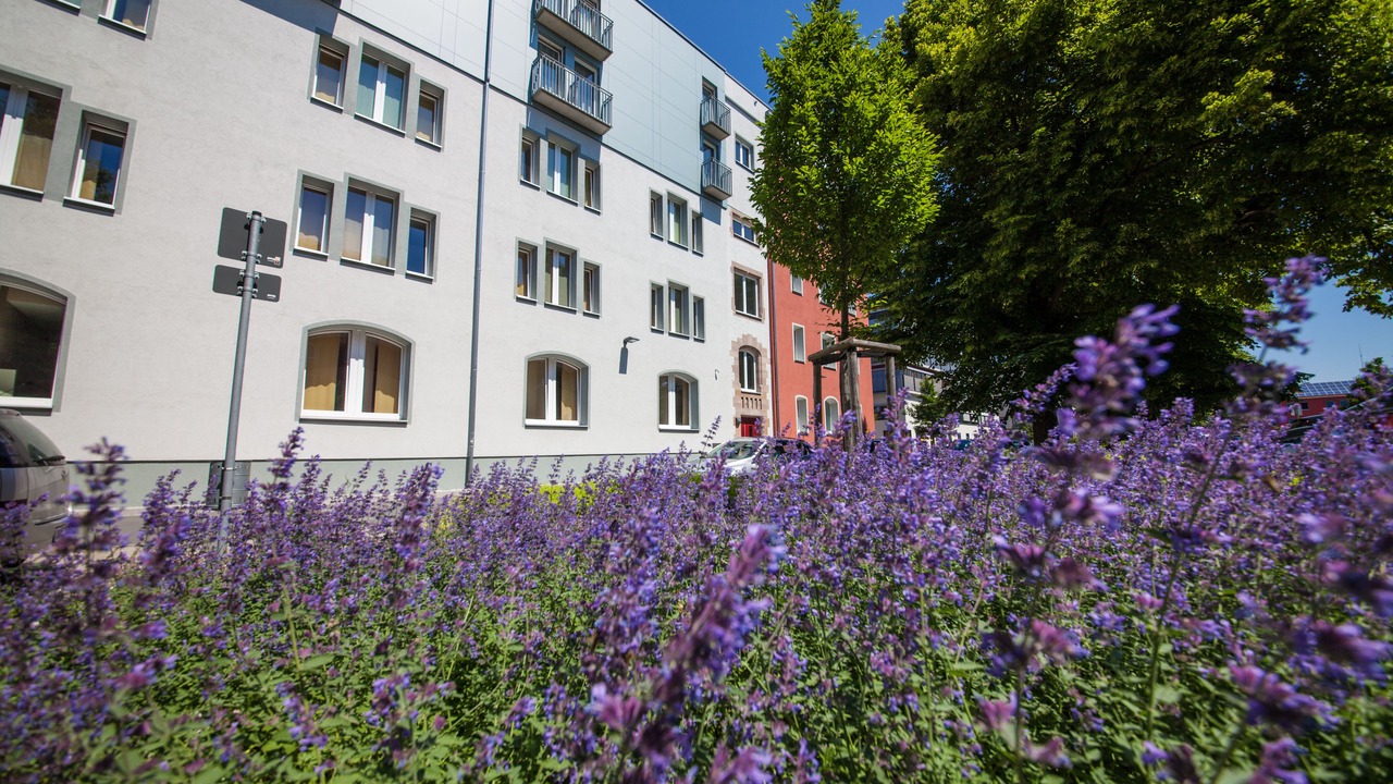 Photo of Outdoor in Weststadt
