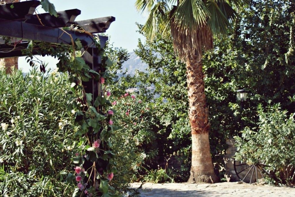 Photo of Outdoor in Montecorto