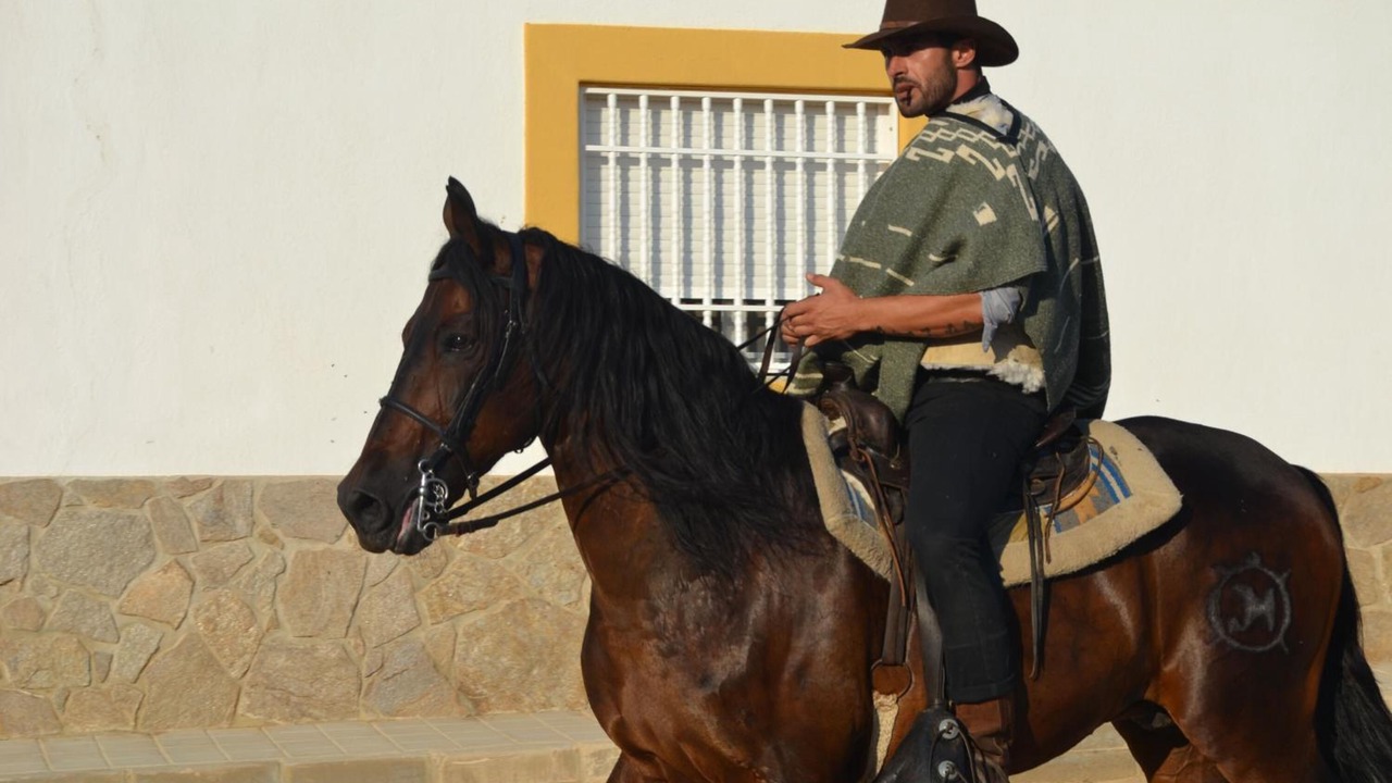 Photo of Others in Los Albaricoques