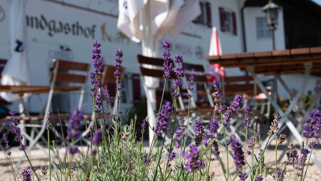 Photo of Patio Balcony in Umrathshausen
