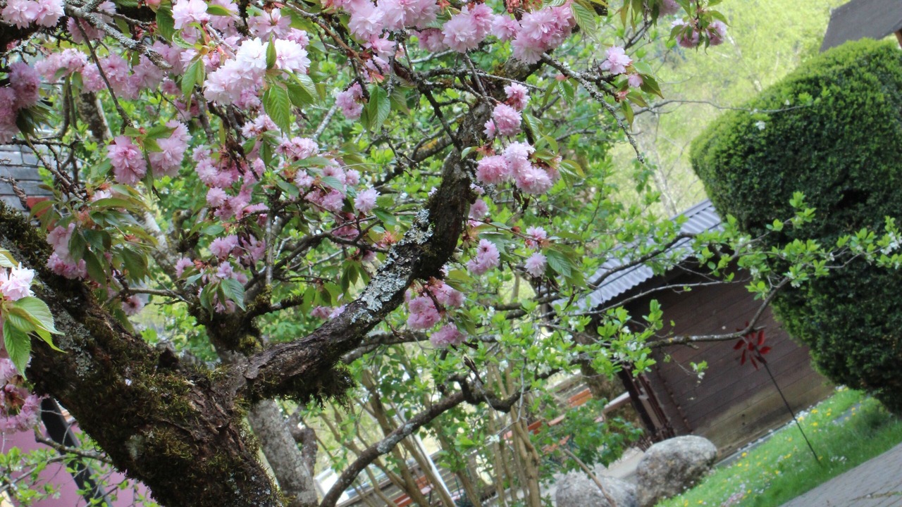 Photo of Outdoor in Hoefen