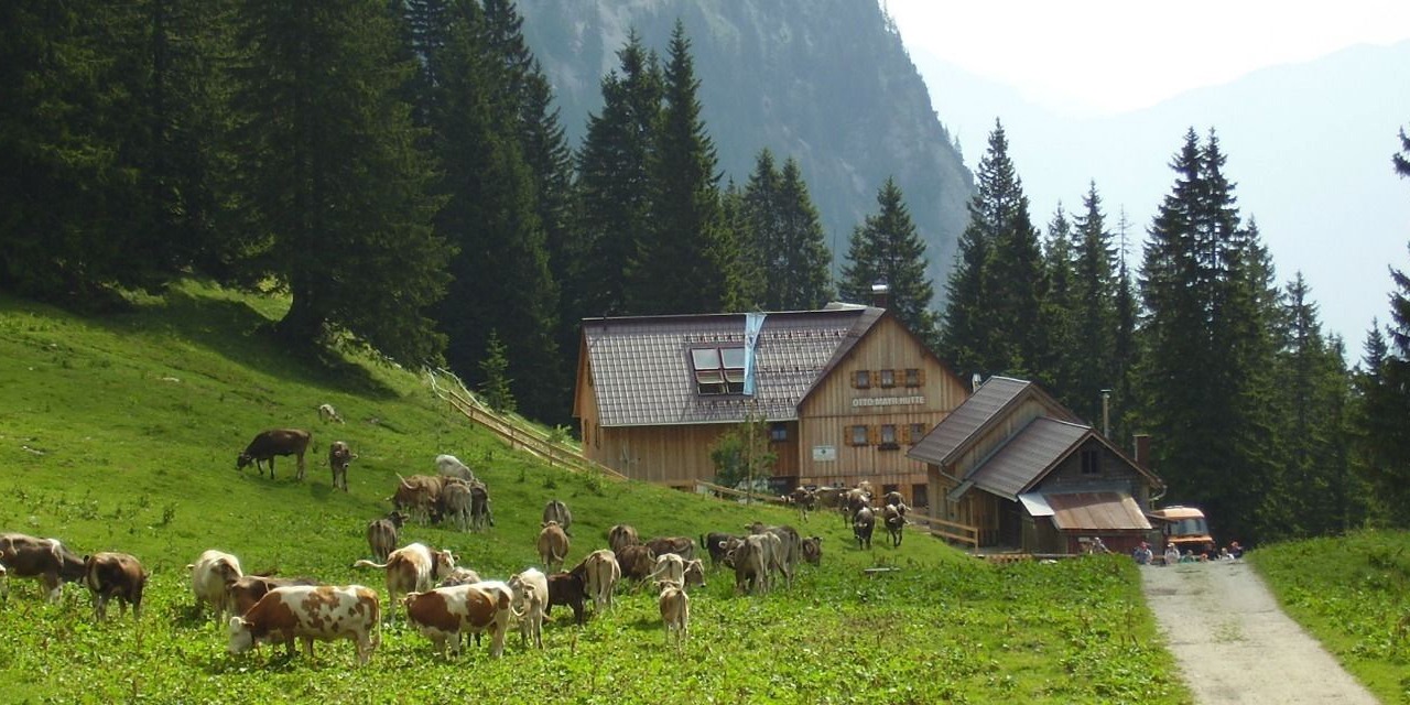 Photo of Outdoor in Lechaschau