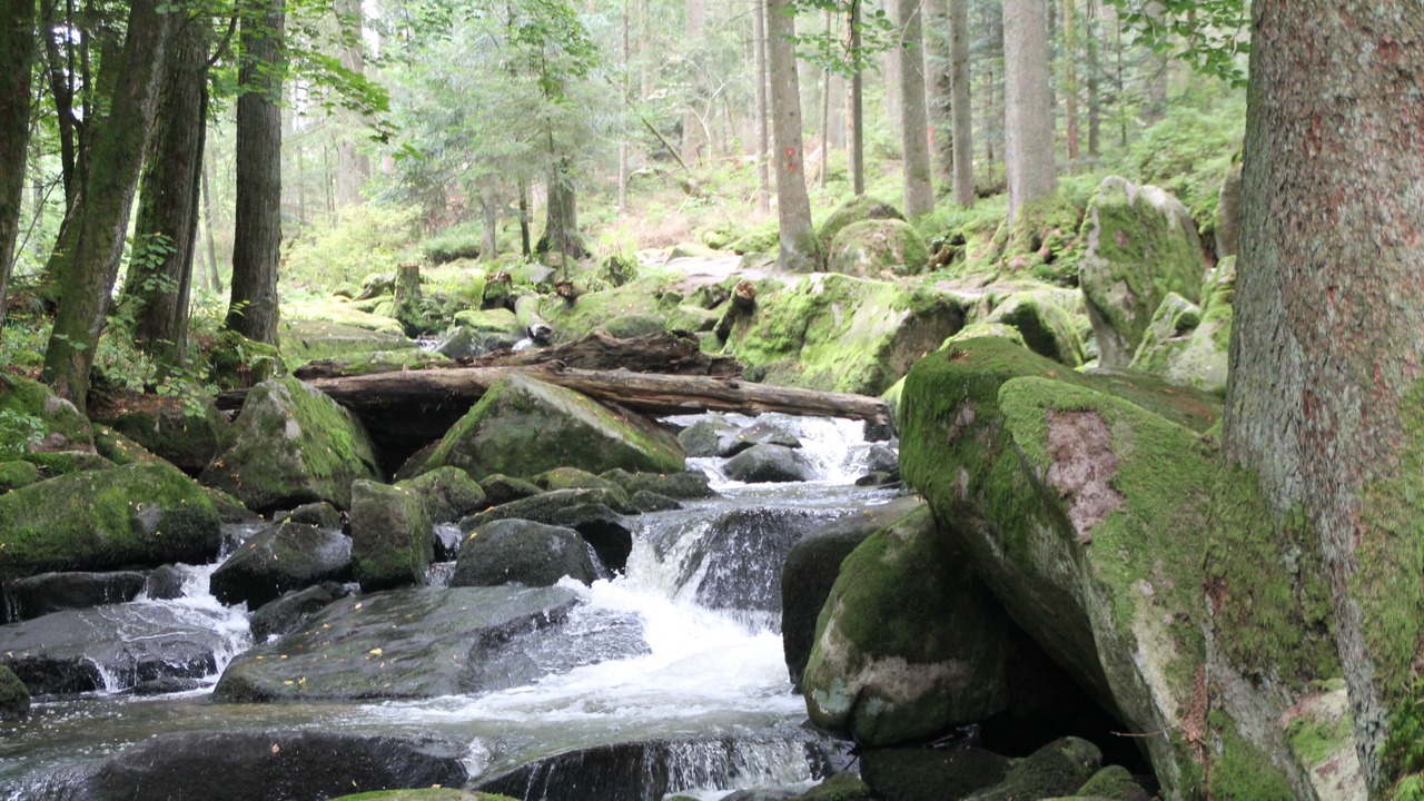 Photo of Outdoor in Neureichenau