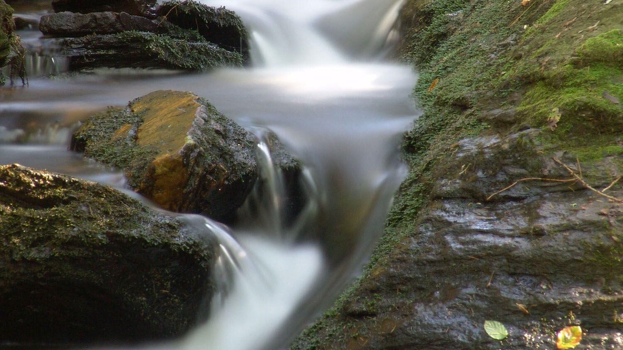 Photo of Outdoor in Waldsassen