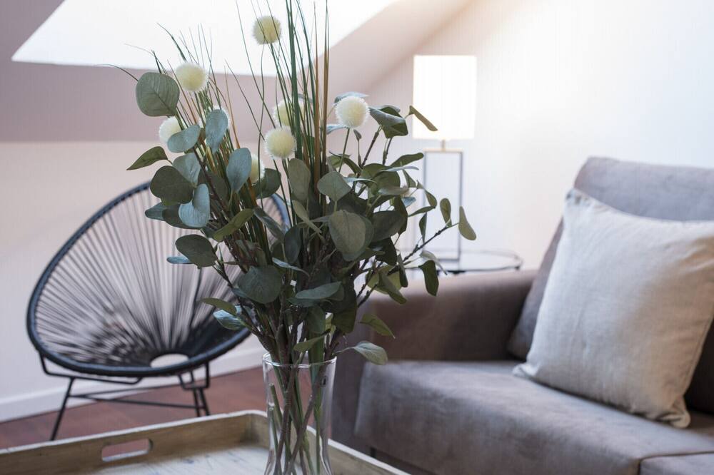 Photo of Livingroom in Malasana