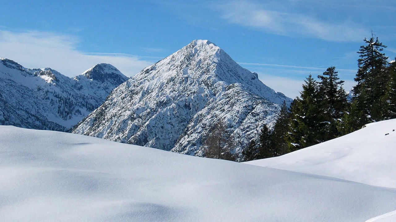 Photo of Others in Wiesing