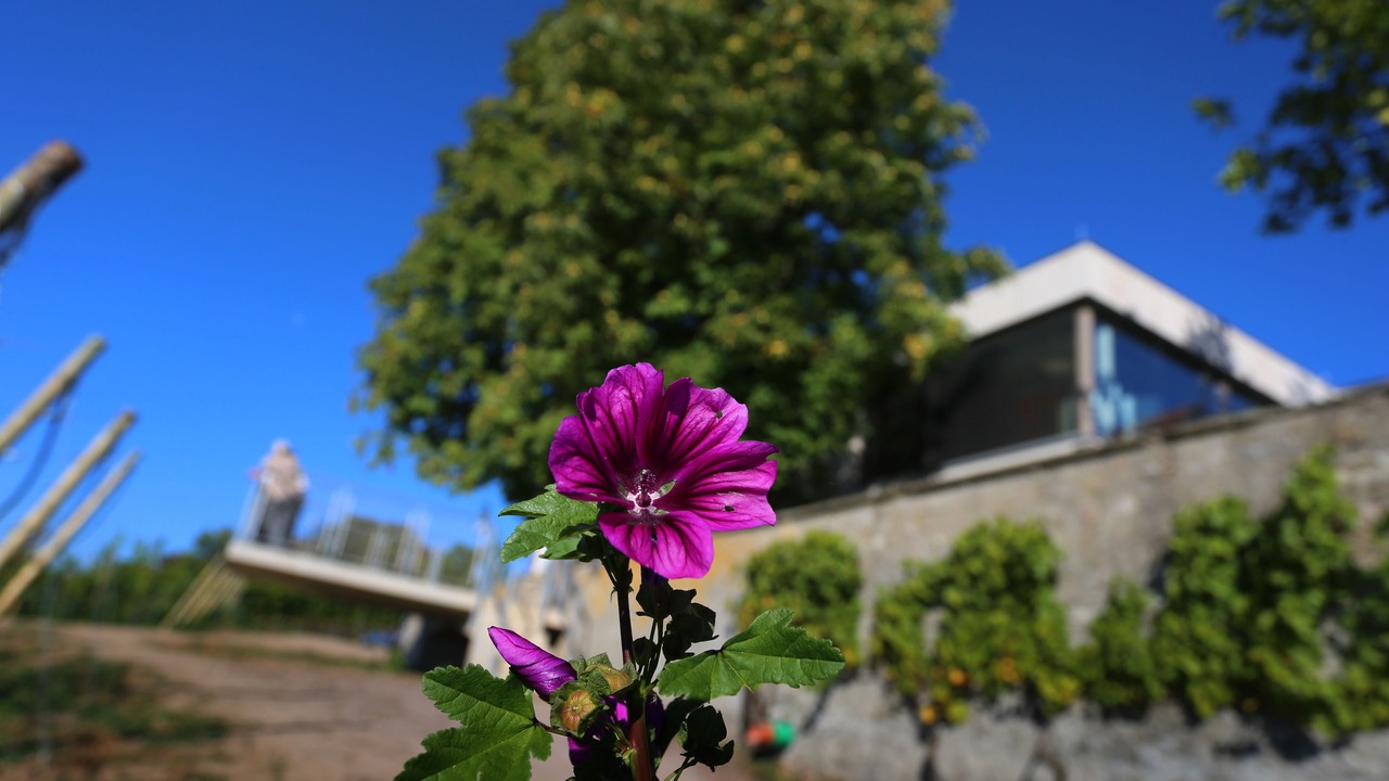 Photo of Outdoor in Volkach