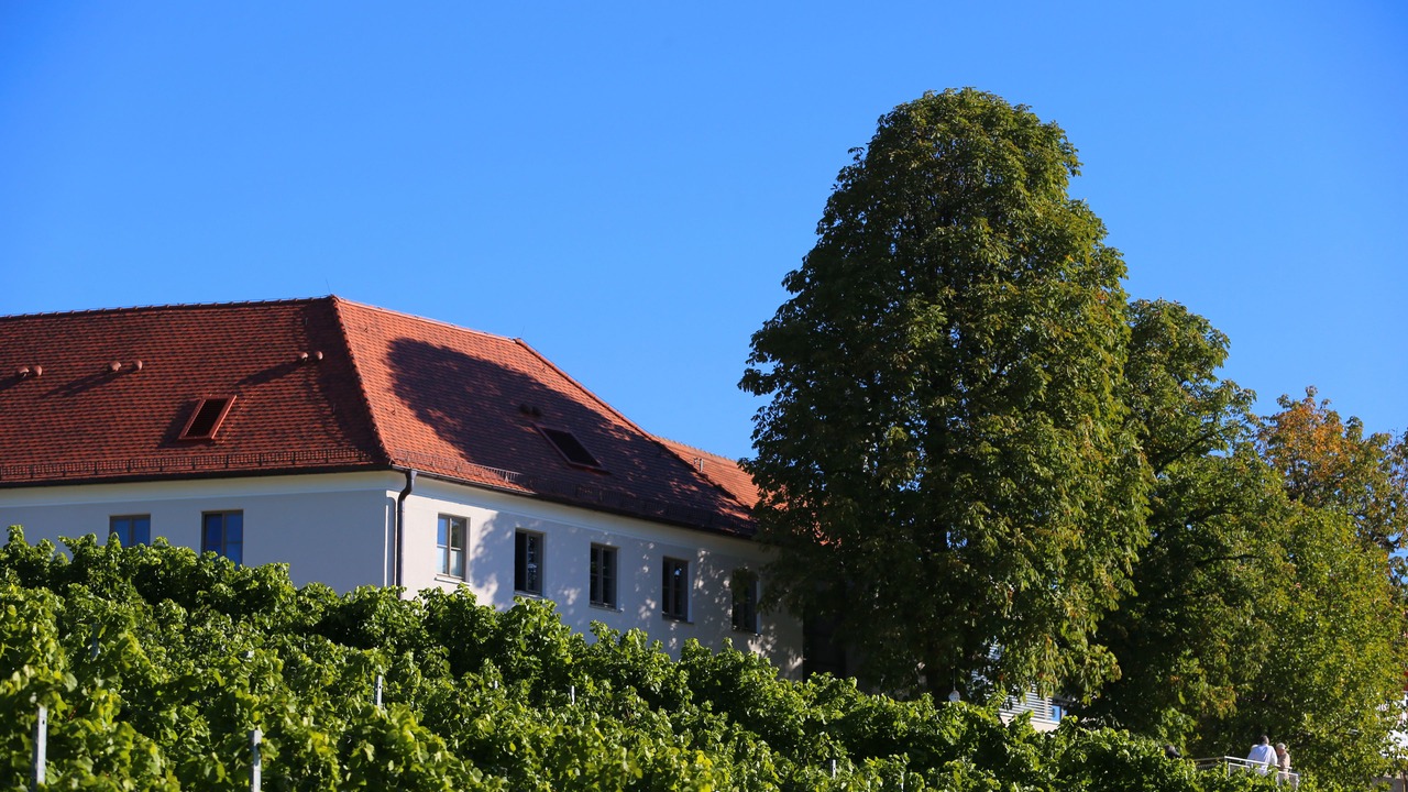 Photo of Outdoor in Volkach