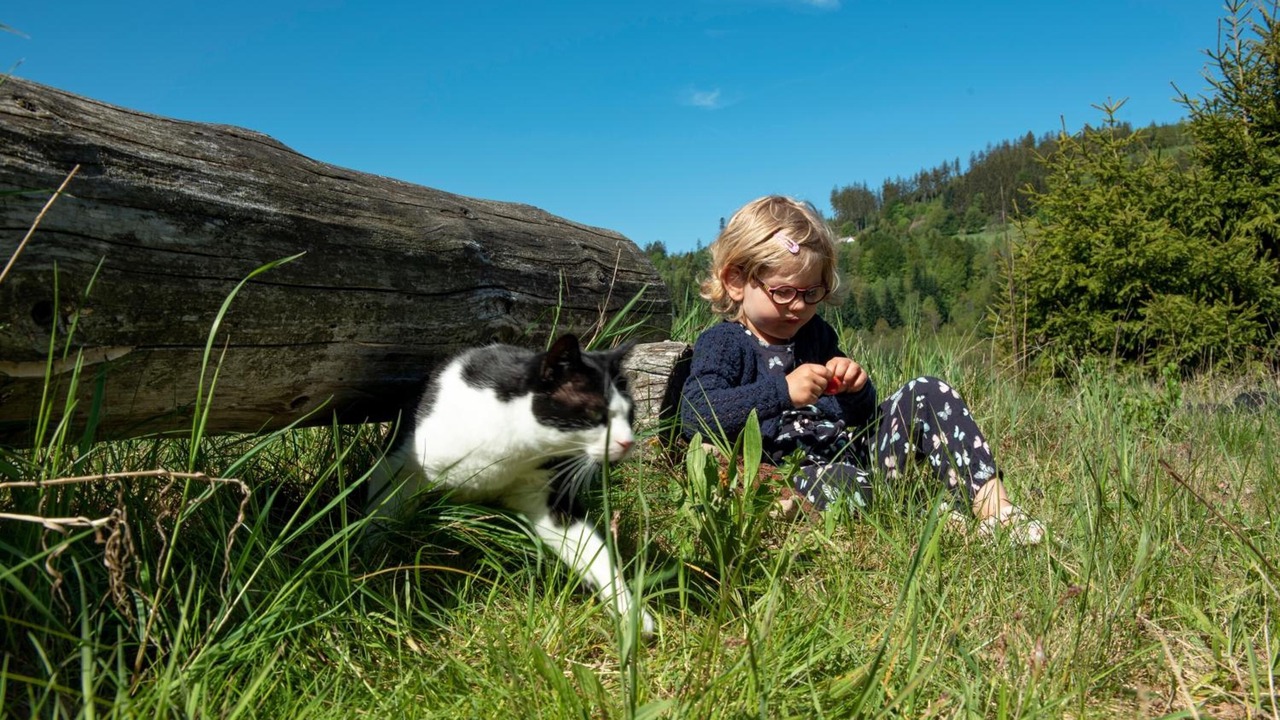 Photo of Outdoor in Warmensteinach