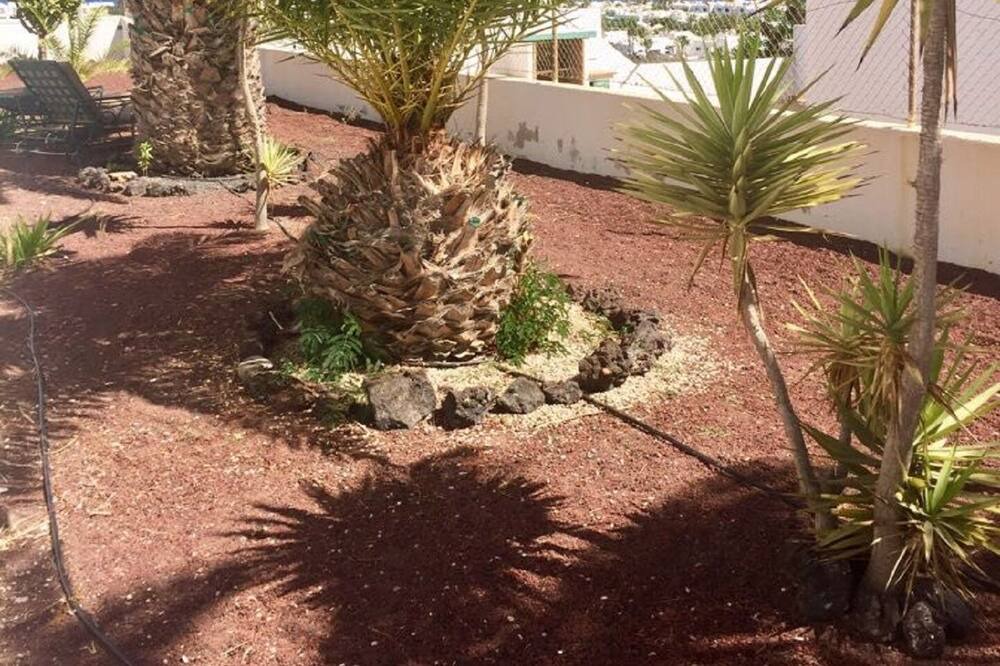 Photo of Outdoor in Matagorda