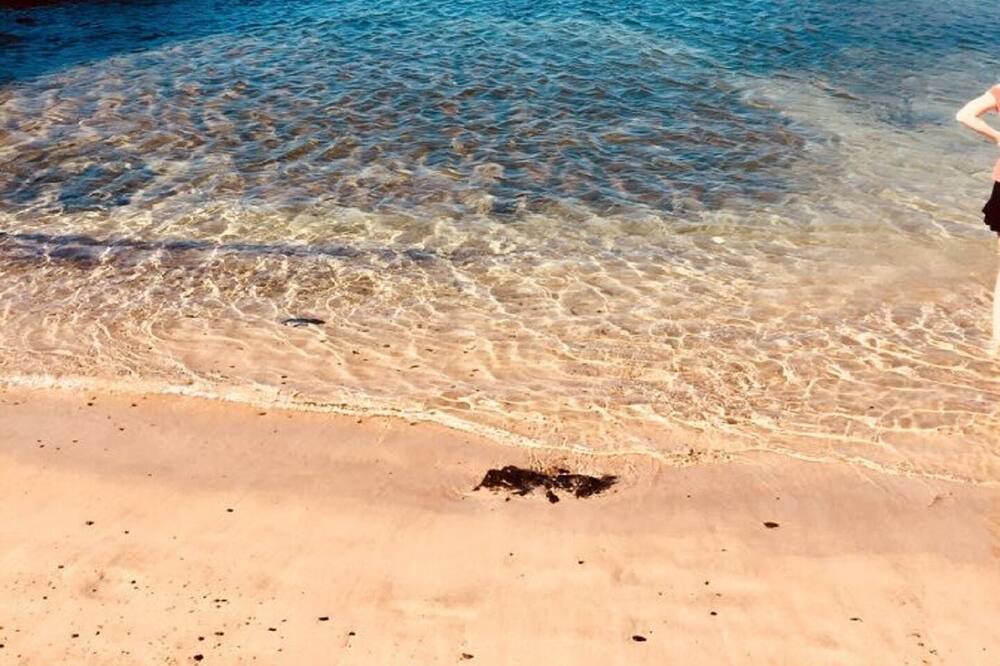 Photo of Others in Matagorda