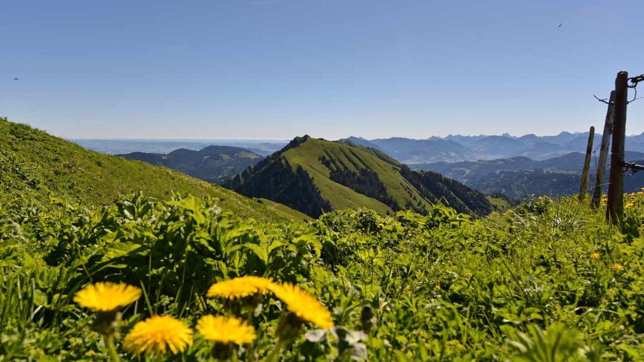 Photo of Outdoor in Steibis