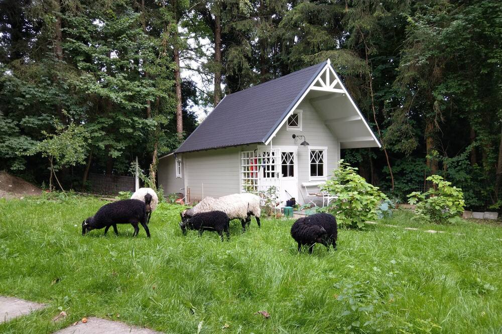 Photo of Outdoor in Morlbach