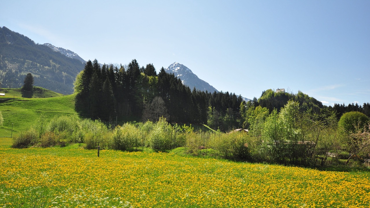 Photo of Outdoor in Fischen im Allgaeu
