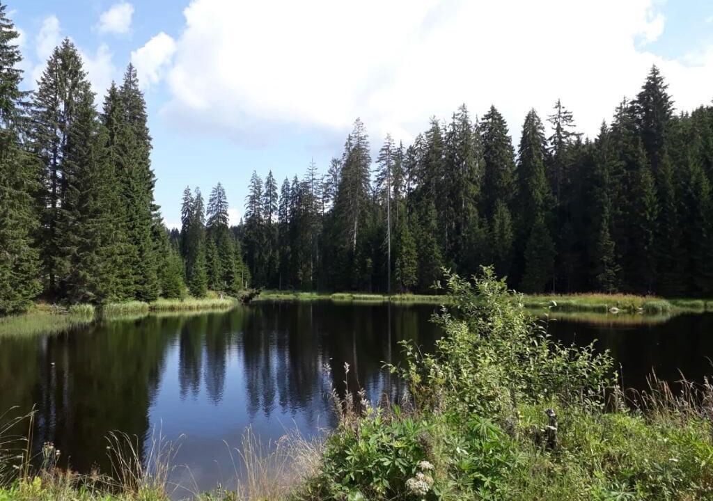 Photo of Outdoor in Grafenau