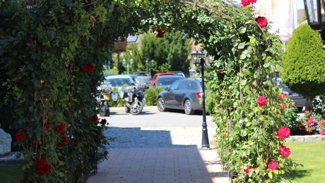 Photo of Others in Schwandorf