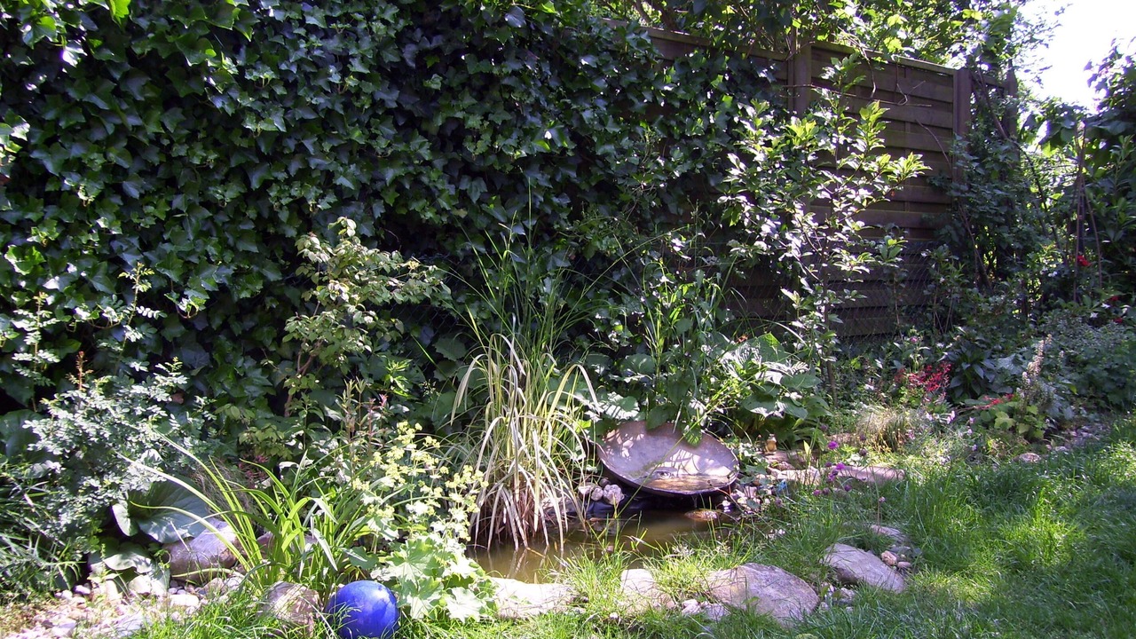 Photo of Outdoor in Havixbeck