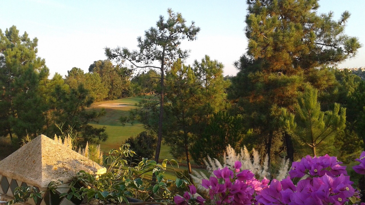 Photo of Outdoor in Islantilla