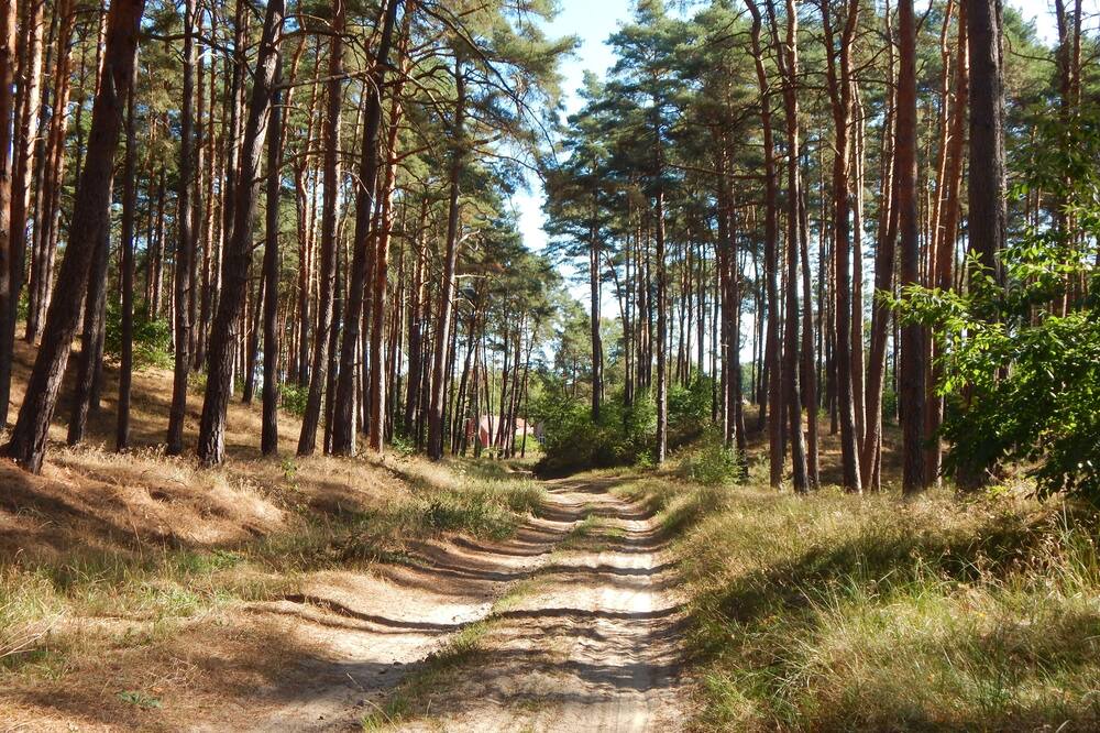 Photo of Outdoor in Alt Jabel