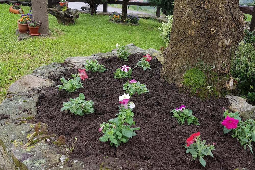 Photo of Outdoor in Villacarriedo