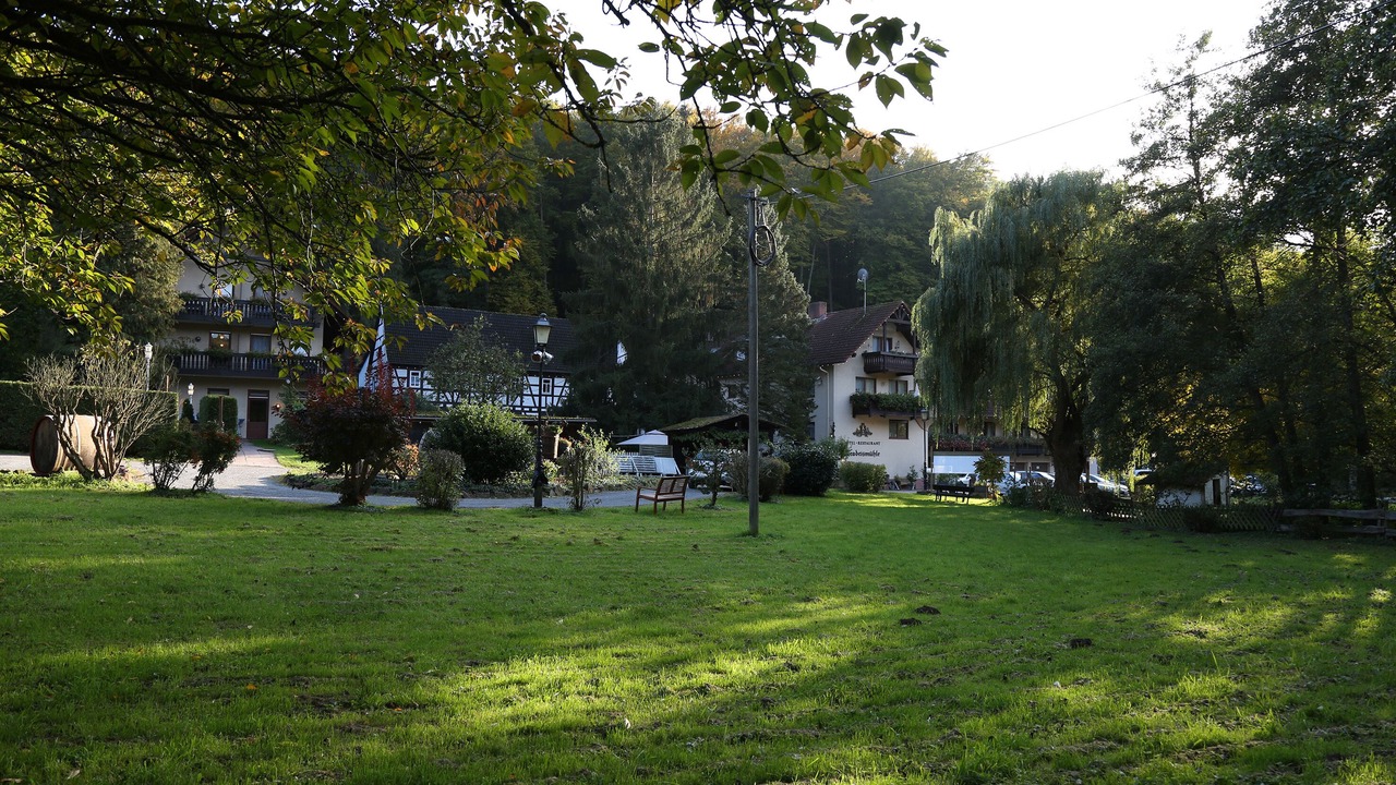 Photo of Outdoor in Rollfeld