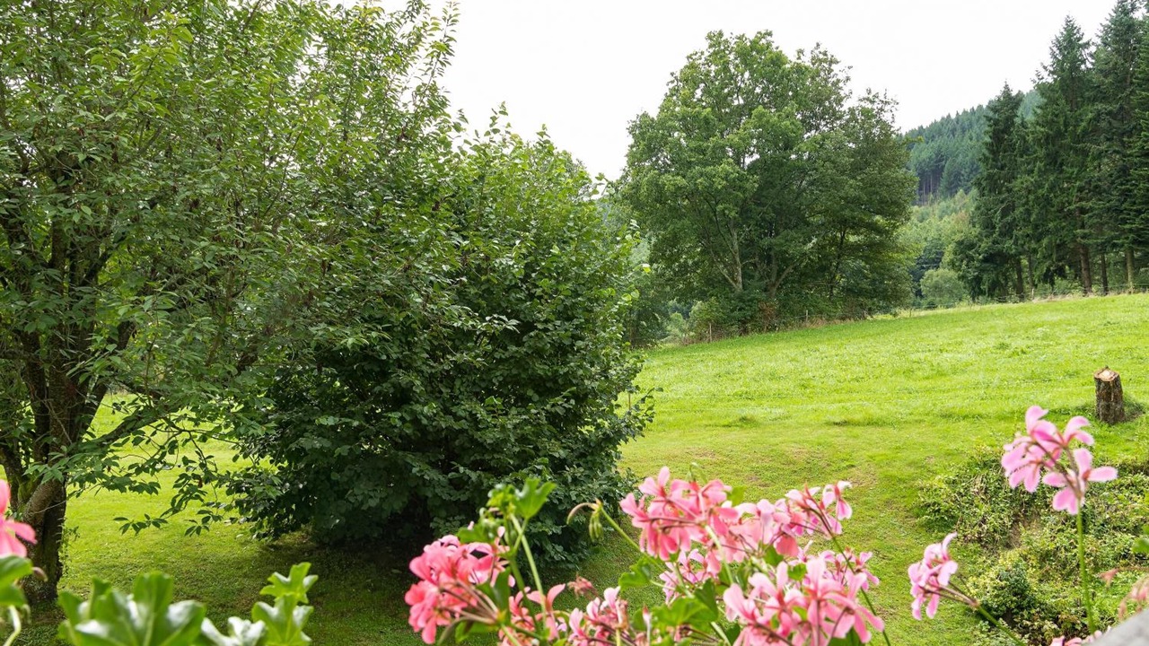 Photo of Outdoor in Weilbach