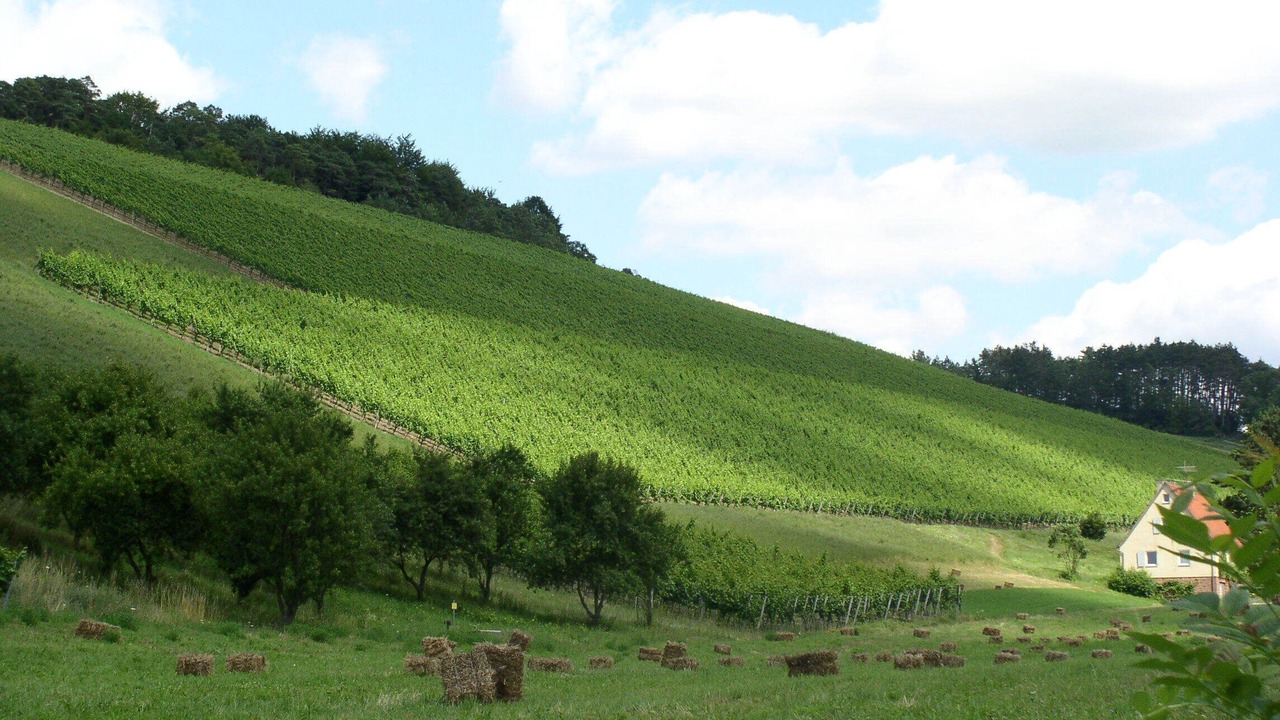 Photo of Outdoor in Marktheidenfeld