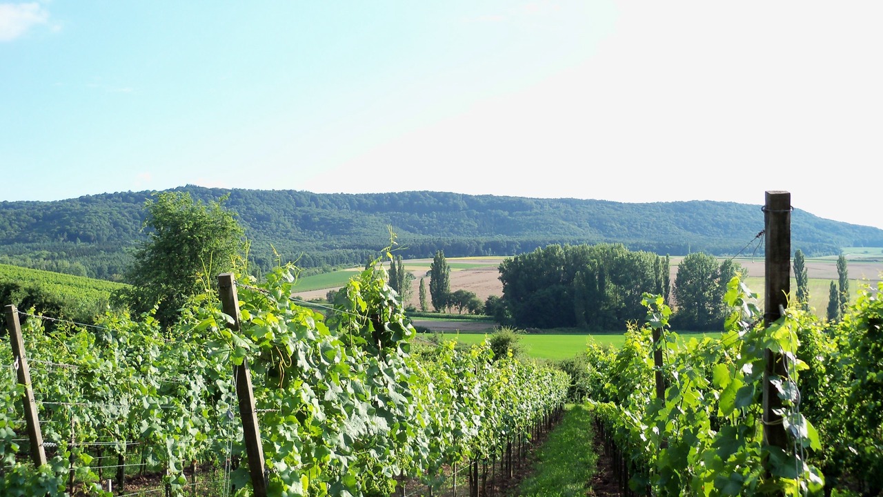 Photo of Others in Wiesenbronn