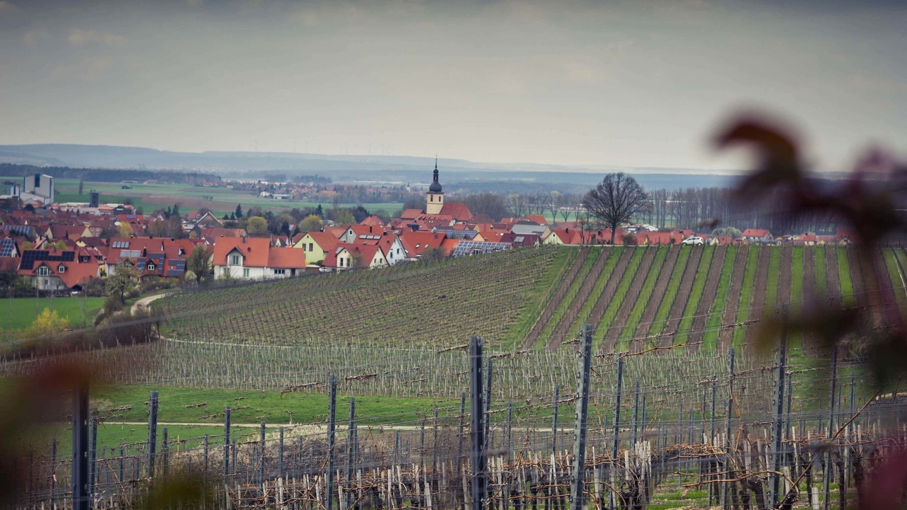 Photo of Others in Wiesenbronn