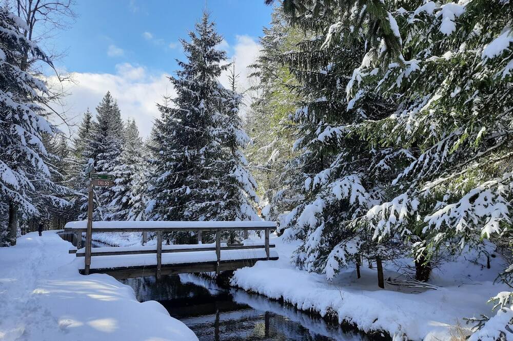 Photo of Outdoor in Bayerisch Eisenstein