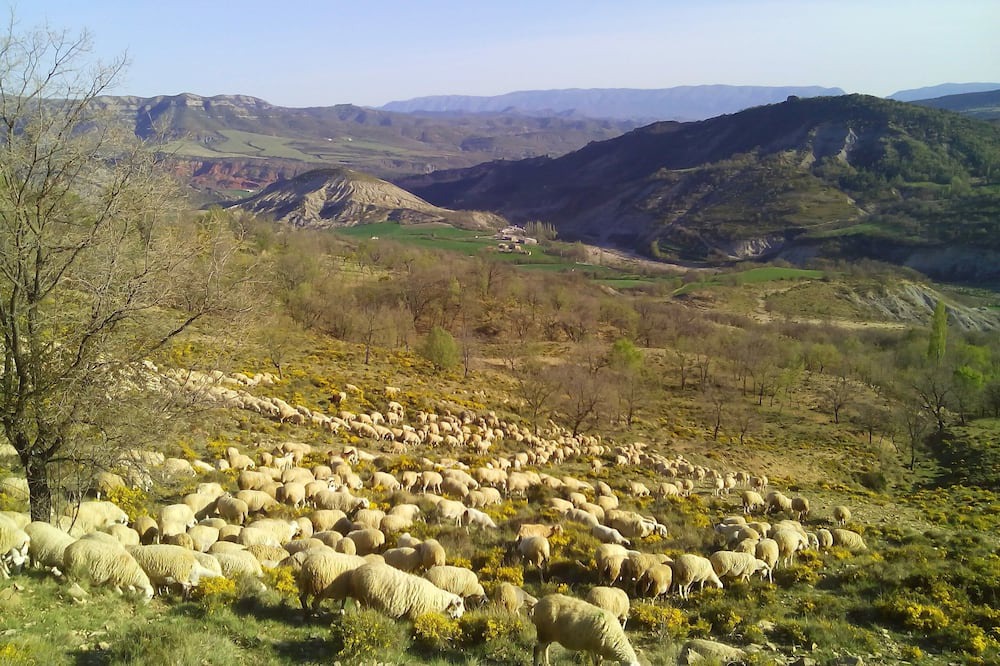 Photo of Others in Sobrecastell