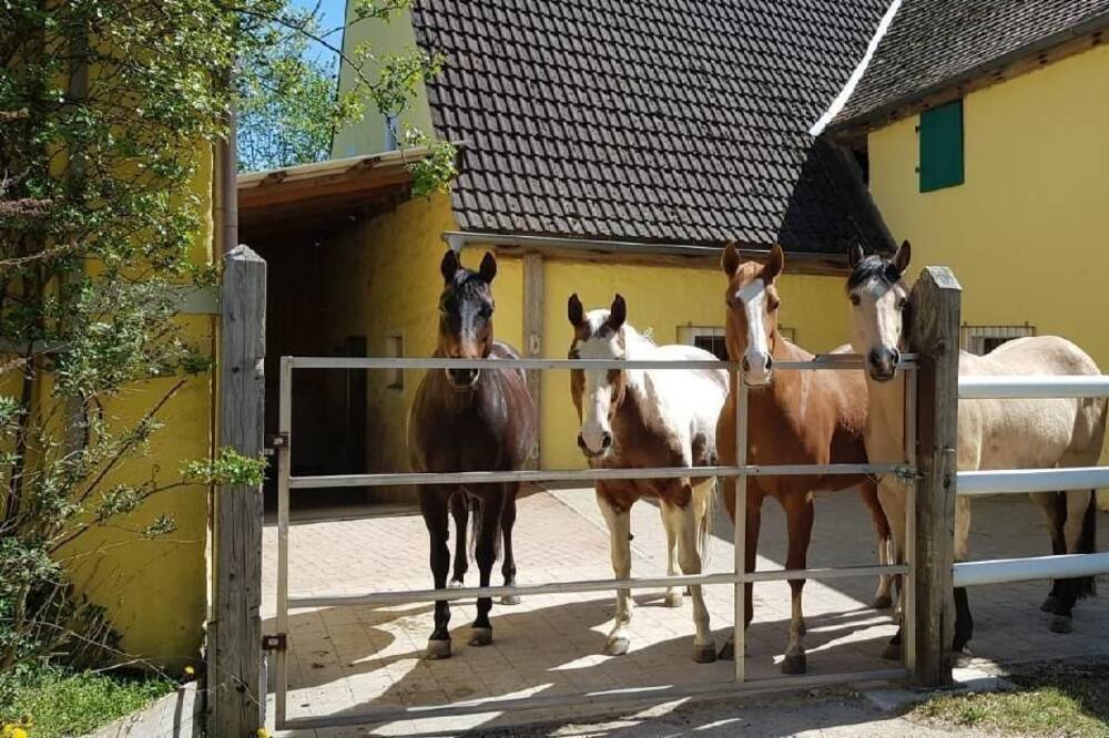 Photo of Others in Ehingen