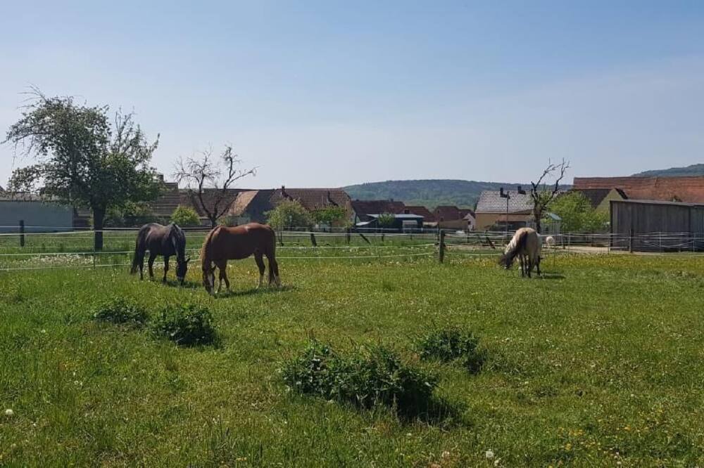 Photo of Others in Ehingen