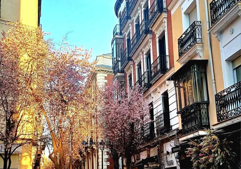 Photo of Outdoor in Literary Quarter