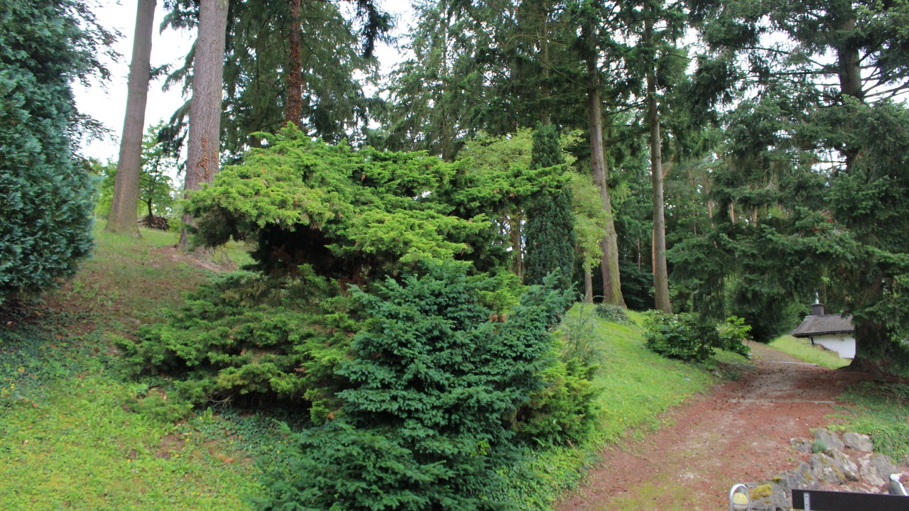 Photo of Outdoor in Eltmann