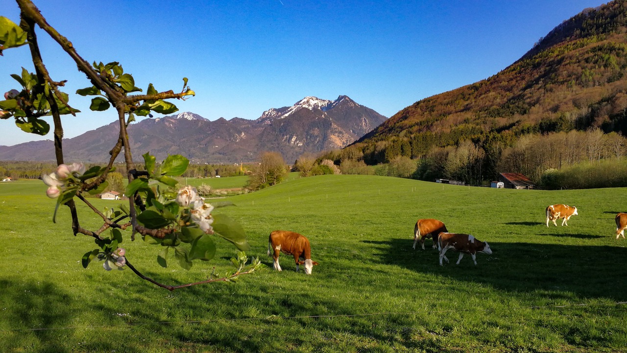 Photo of Outdoor in Rottau