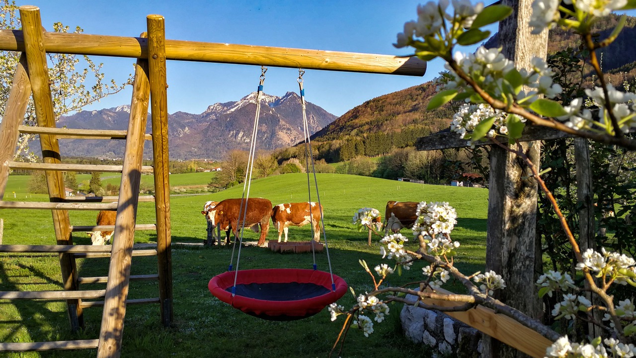 Photo of Outdoor in Rottau