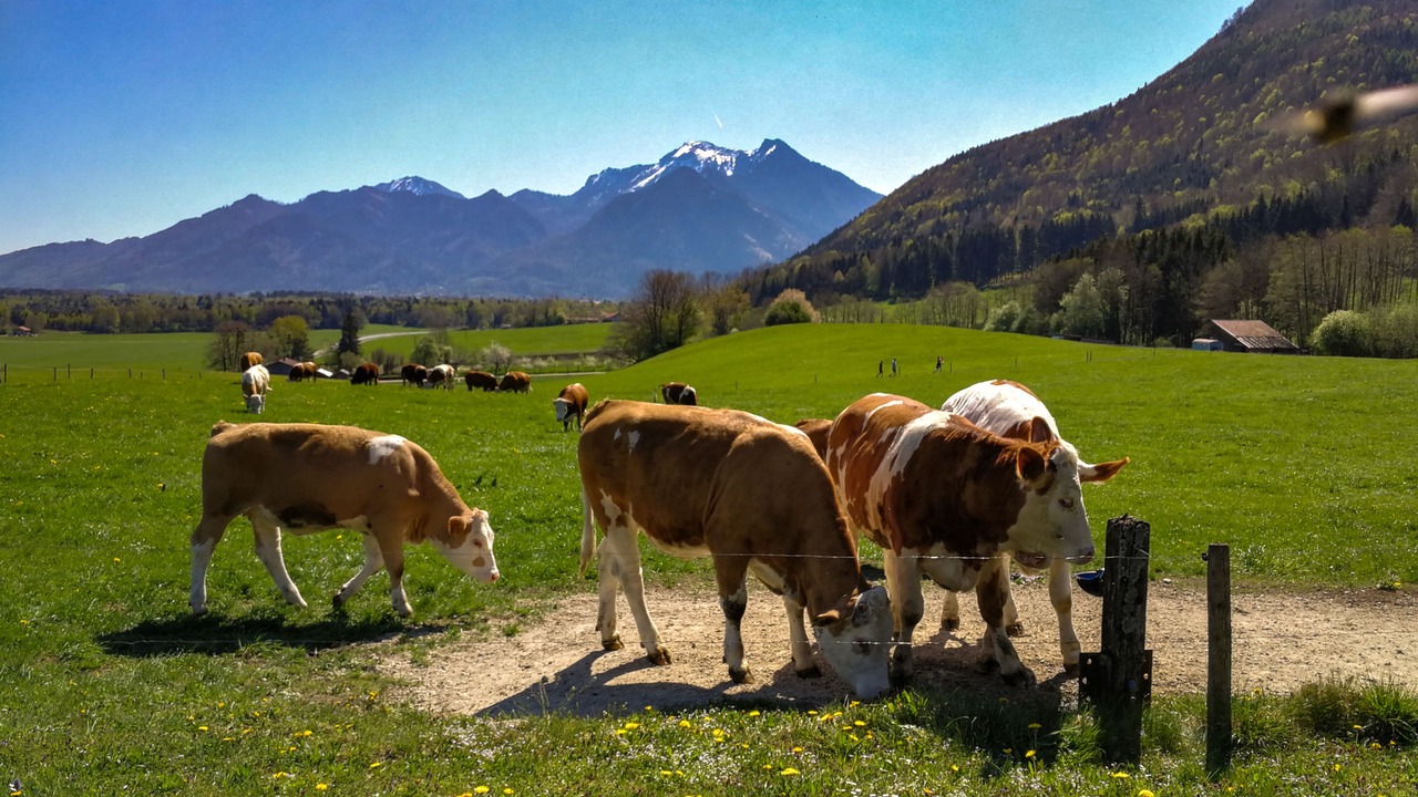 Photo of Outdoor in Rottau